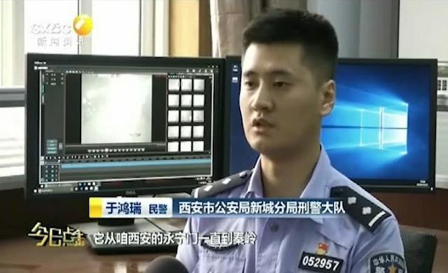 西安和平圆建设管理有限公司